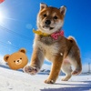 🧿Mamidogs🧿のアイコン