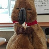 飼育員さんzookeeperのアイコン
