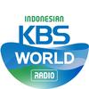 World Radio KBSのアイコン