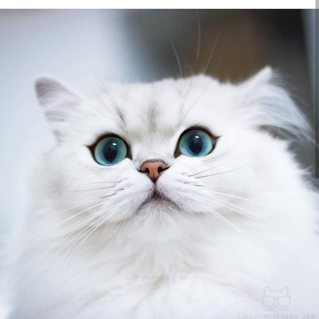 Rbz Rbz创作的原声 Tiktok Global Video Community