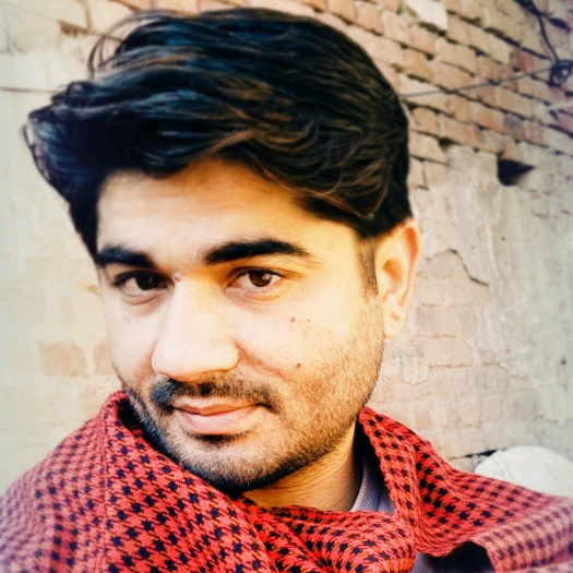 er.manishwadhwa - original sound