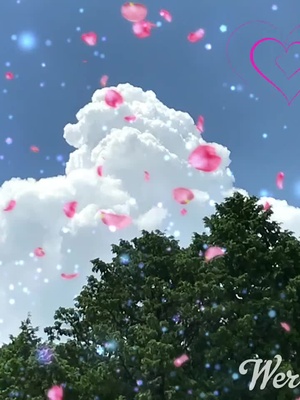 エレガント入道雲 壁紙 最高の花の画像