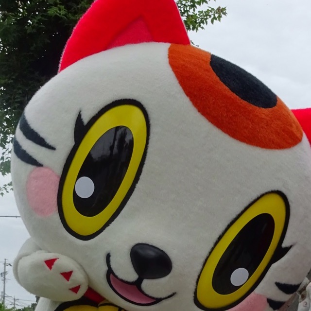 トコタン(常滑市公式)のアイコン