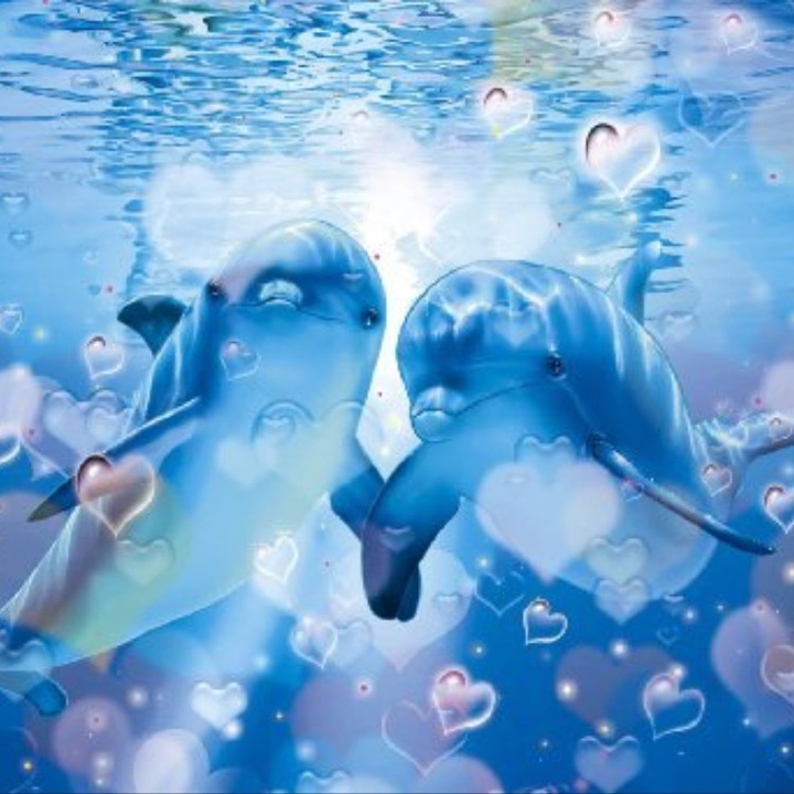 Дельфин любовь. Дельфин любовь песня. Дельфин любовь ремикс