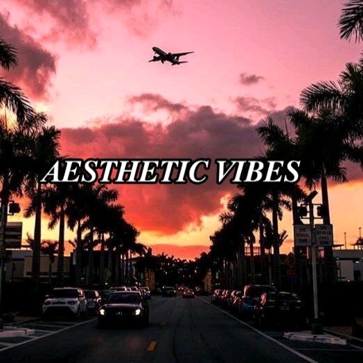Sunset x vibes. Vibe aesthetic. lion vibes aesthetic.