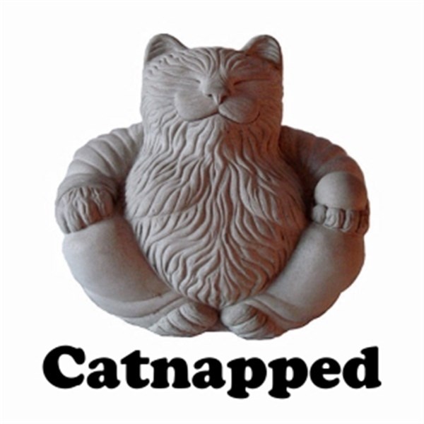 Catnapped - ORIGAMI