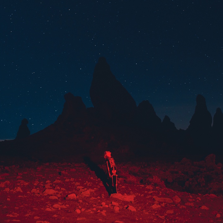 Phoebe Bridgers - Savior Complex