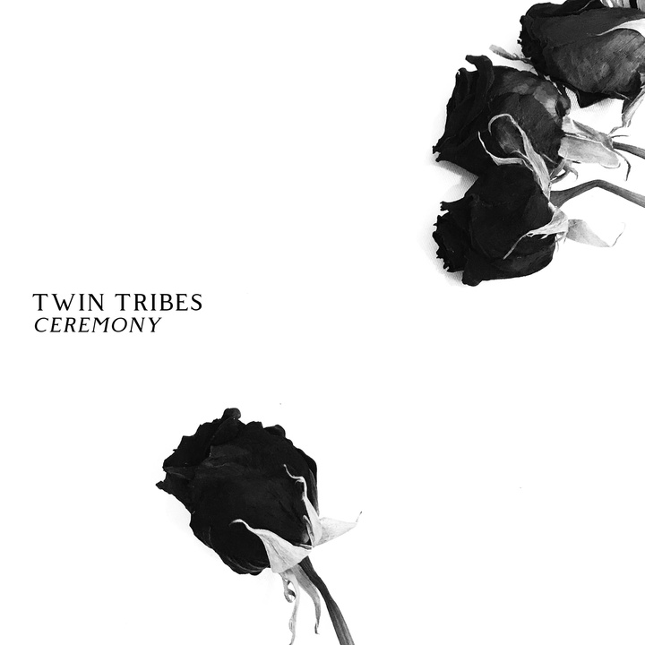 Twin Tribes - VII