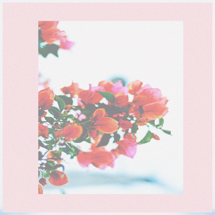 Flovry - Treehouse