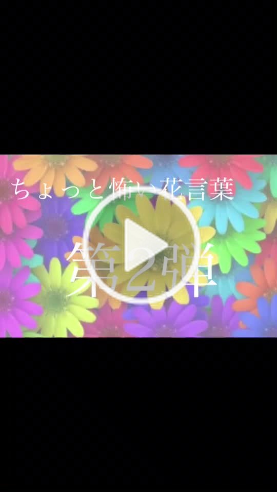 Mituko On Tiktok 花言葉 花 怖い 贈り物 果物 植物 第2弾