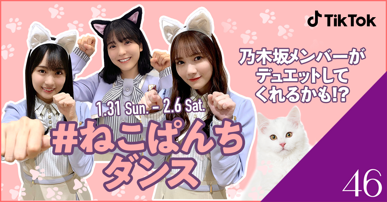 Tiktok 乃木坂46と ねこぱんちダンス チャレンジ開催 Tiktok ニュースルーム