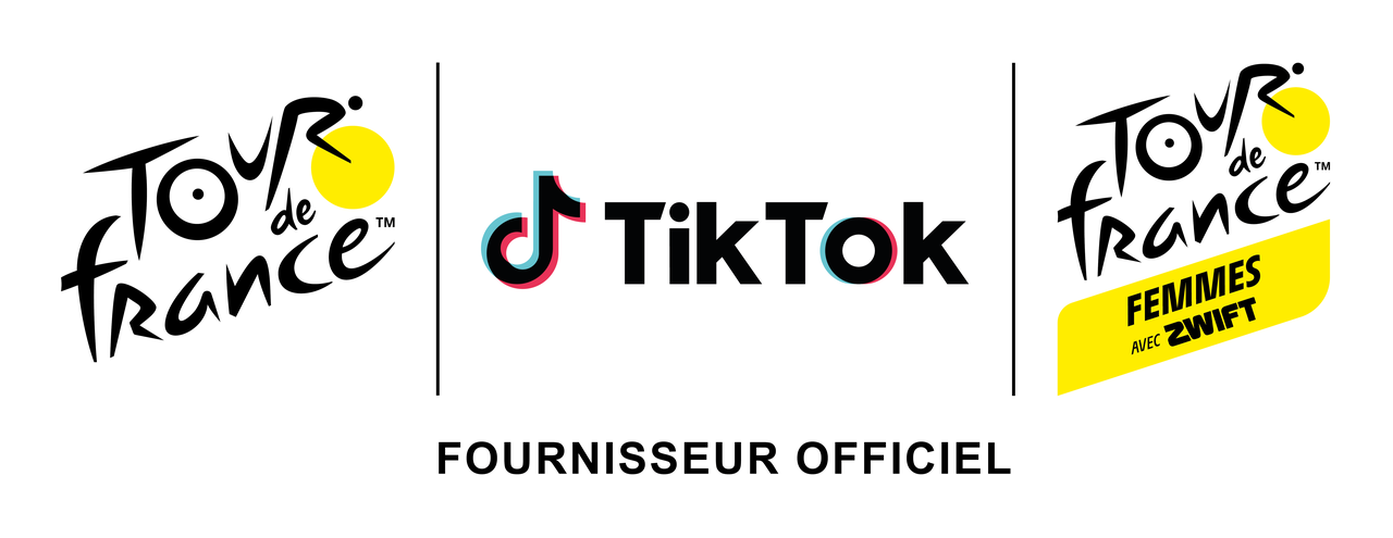 Tiktok logo -  France