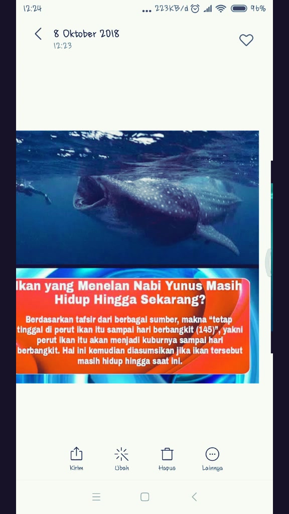 Itsgtticahayaa At C4h4y419 On Tiktok Inilah Ikan Yang Menelan Nabi Yunus As