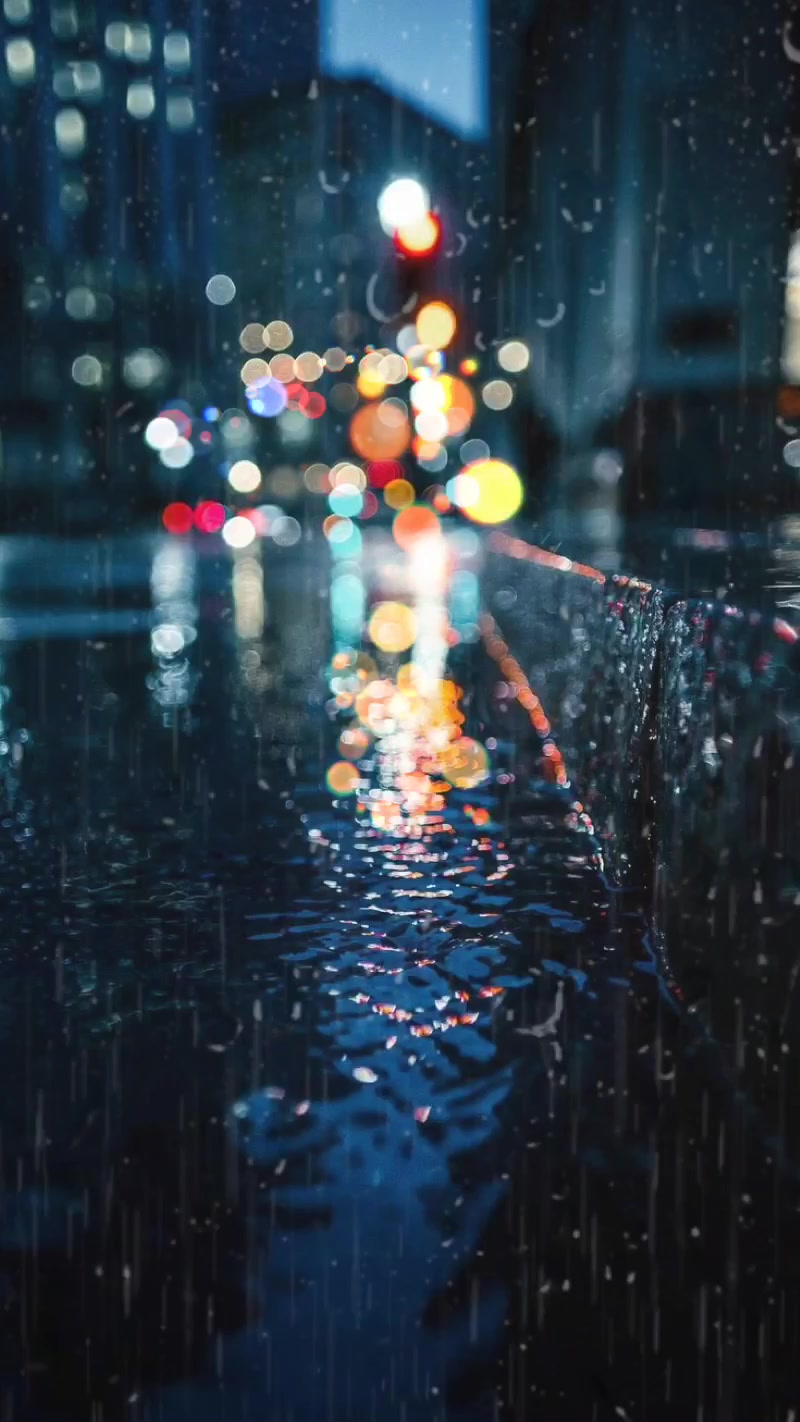 新着壁紙 雨 最高の花の画像