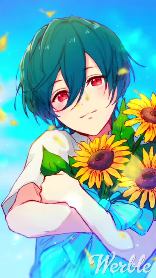 無料ダウンロードハイ スピード 壁紙 すべての美しい花の画像