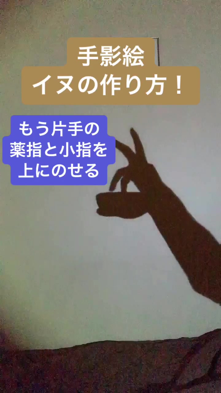 手影絵 Tiktok Hashtag