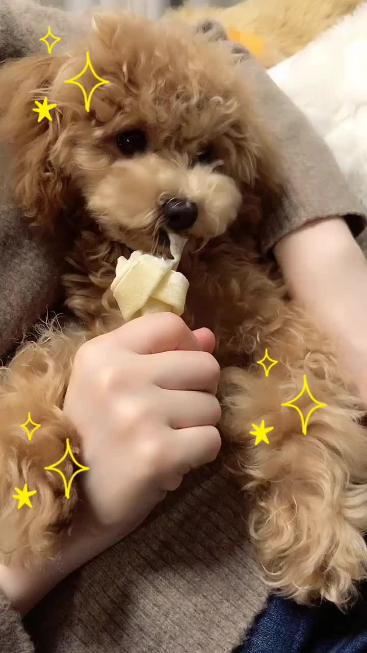 Erde Hi Chama Tiktok Account Videos Tokvid Tiktok Viewer