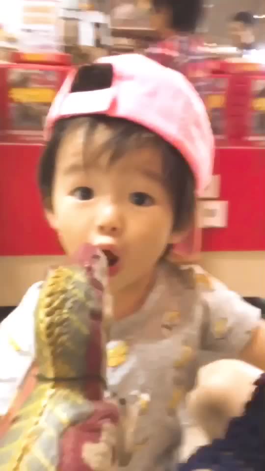 無料ダウンロード可愛い 子供 動画 最高の動物画像