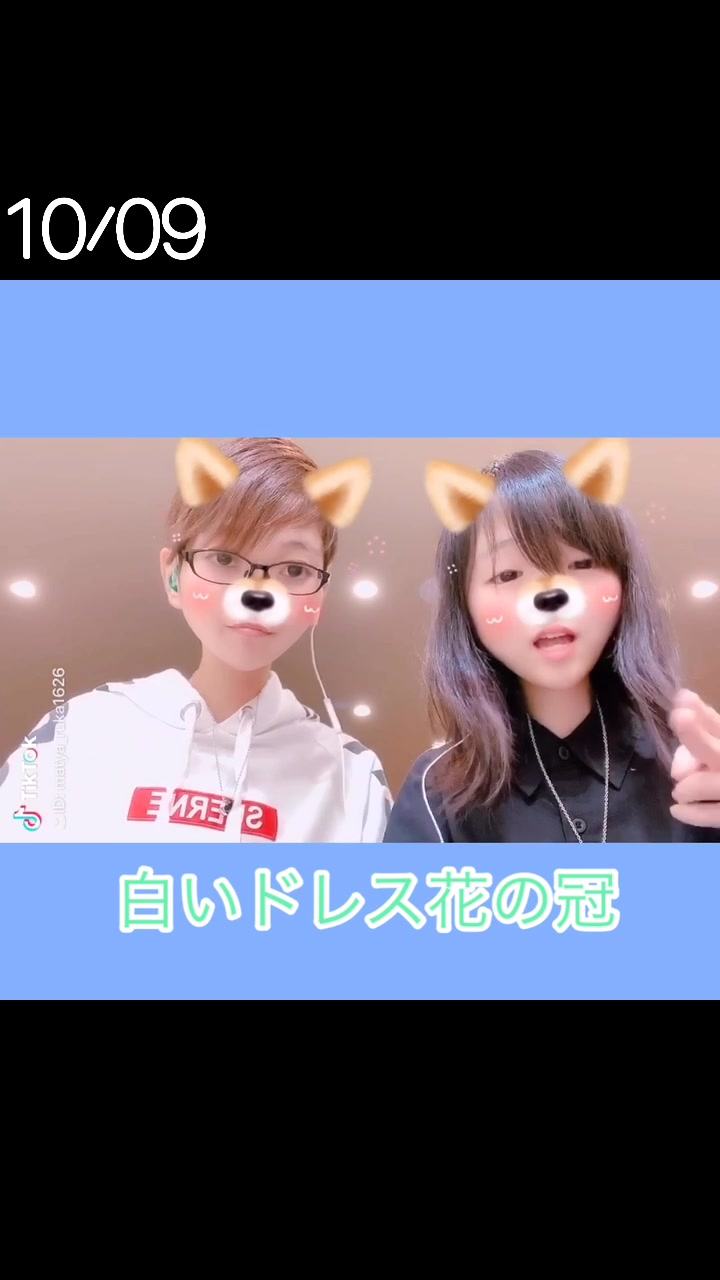 手話で伝える Videos On Tiktok