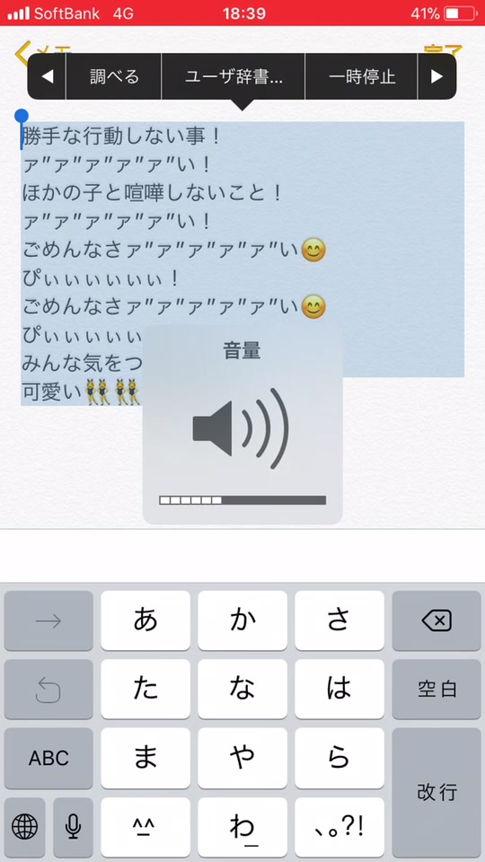 Rina Ohno Rina3104 On Tiktok Siriに読ませてみた 好評だったのでまた出しました